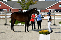 HSM_5431
