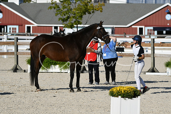 HSM_5431