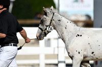 HSM_4438