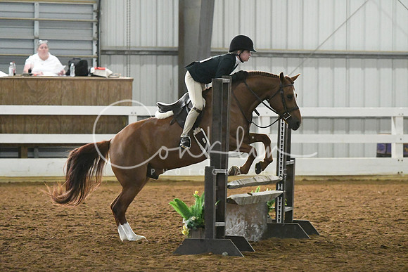 HSM_4290