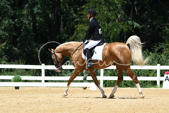 HSM_1393