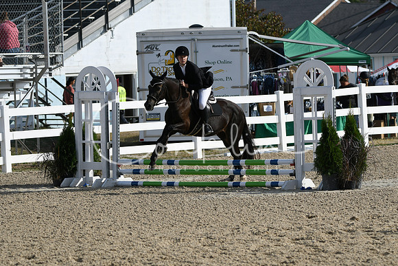 HSM_1509