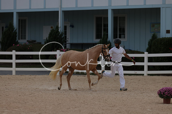 HLK_2388