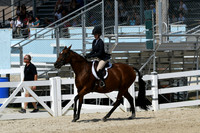 HSM_9154