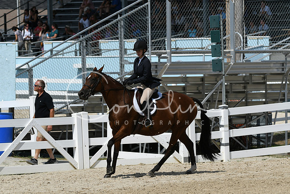 HSM_9154