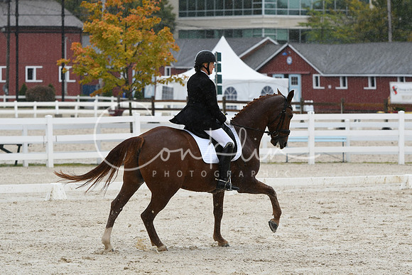 HSM_0384