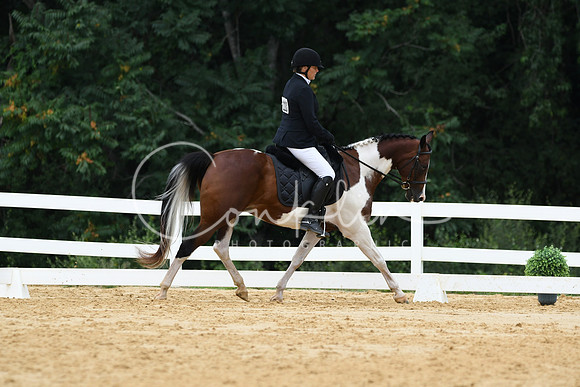 HSM_0419