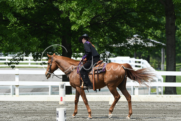 HSM_2953