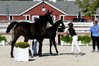 HSM_5273