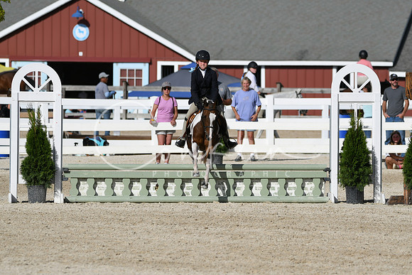 HSM_4166