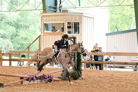 HSM_6197
