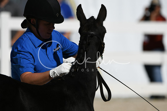 HSM_4582