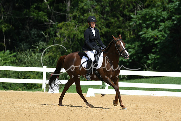 HSM_1182