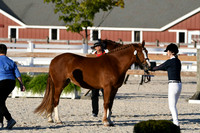 HSM_5586