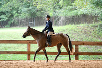 HSM_0800