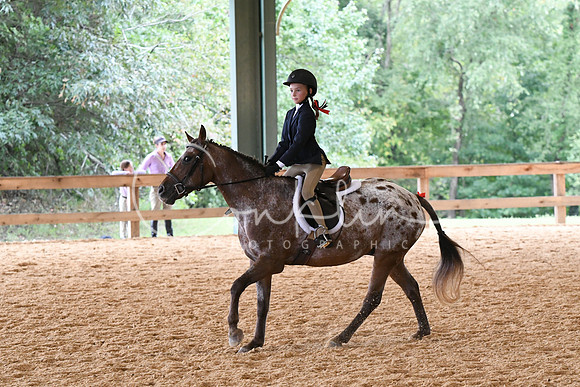 HSM_8292