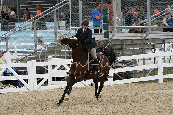 HSM_2864