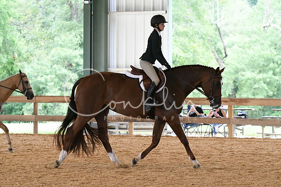 HSM_1649