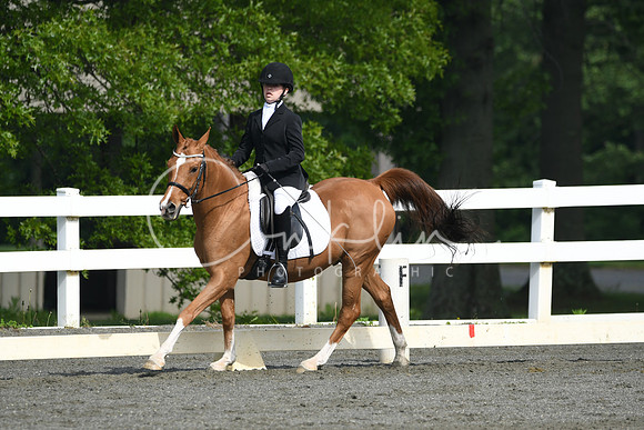 HSM_1034