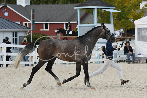 HSM_5384