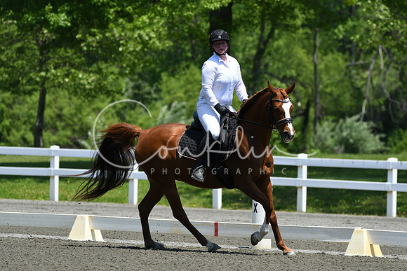 HSM_1719