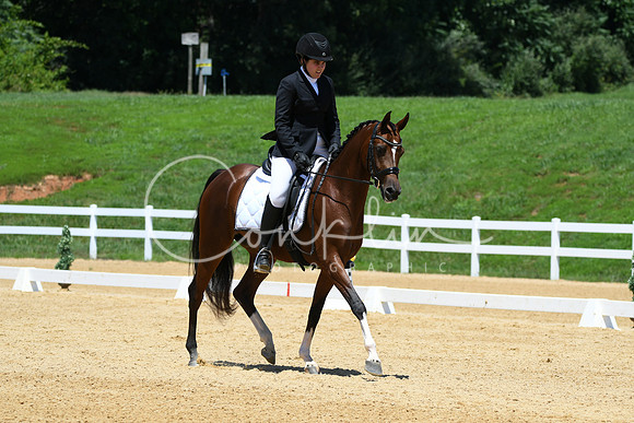HSM_1508