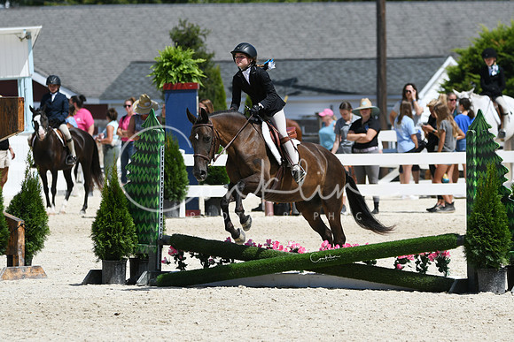 HSM_3028-1