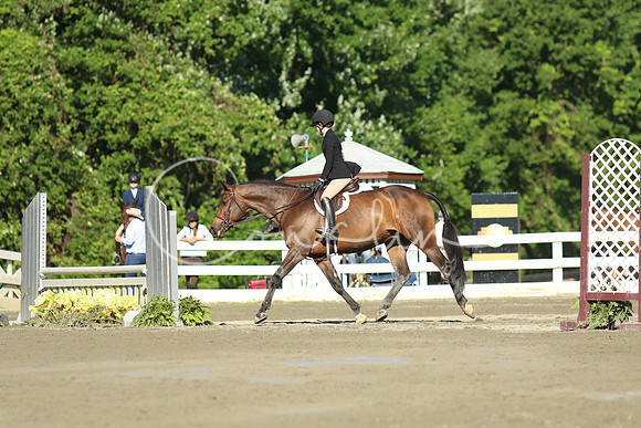 1I7A1801