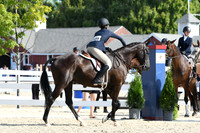 HSM_8225