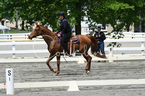 HSM_2936