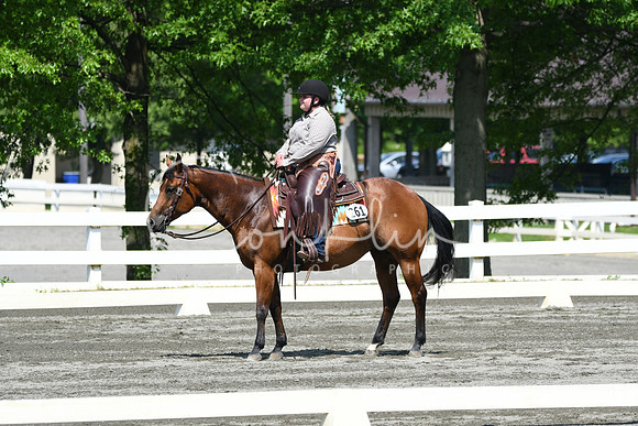 HSM_2706