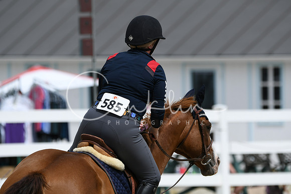 HSM_2596