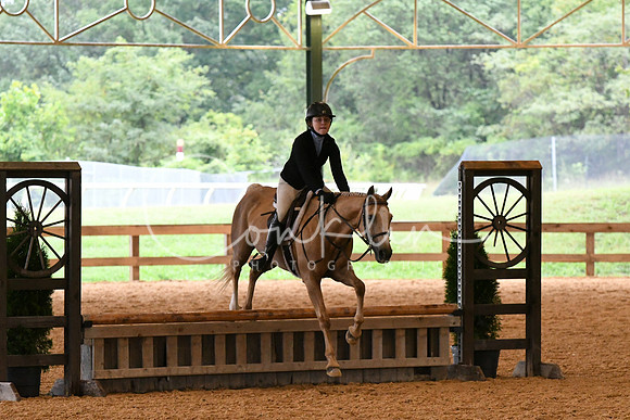 HSM_2118