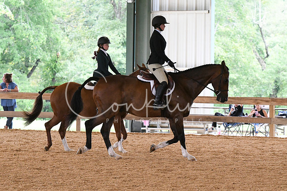 HSM_1631