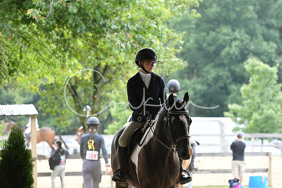 HSM_2964