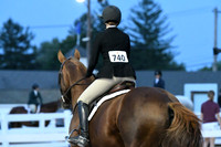 HSM_0528