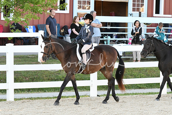 HSM_1607