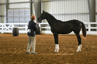 HSM_3618