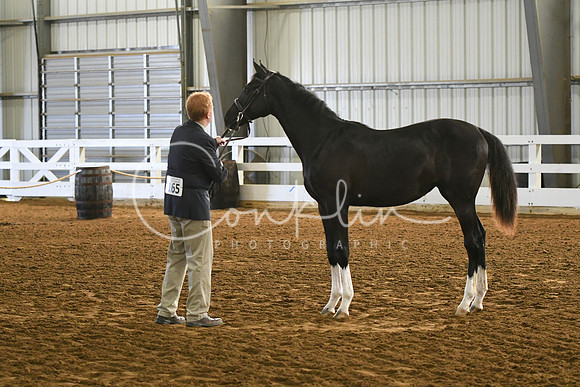 HSM_3618