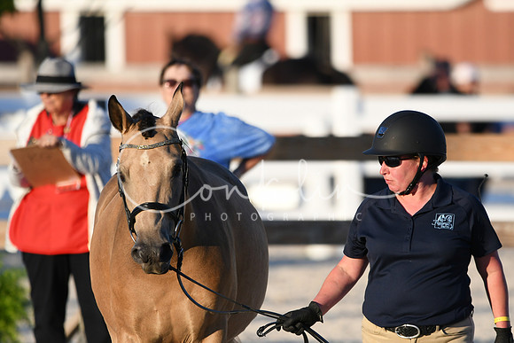 HSM_5651
