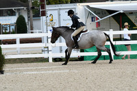 HSM_4952
