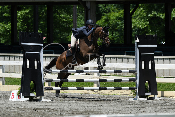 HSM_3279