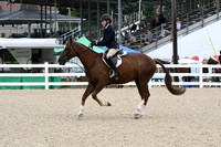 HSM_5038