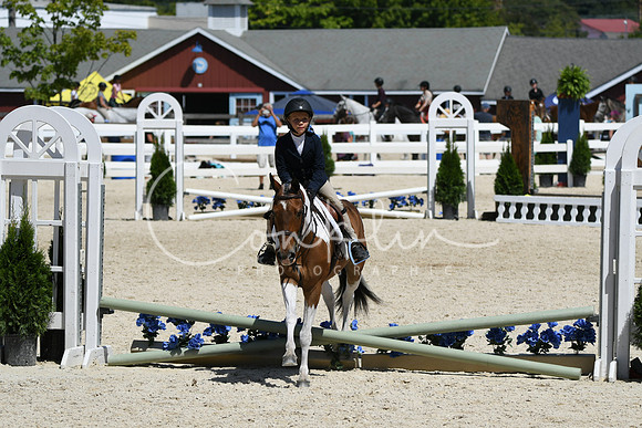 HSM_3132