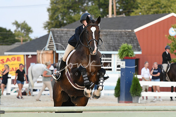 HSM_0348