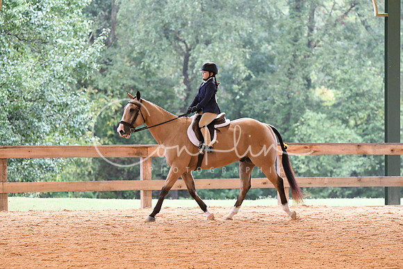 HSM_4231