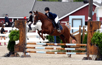 HSM_3314-1