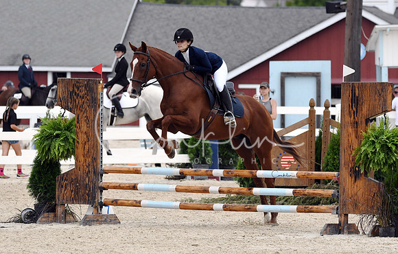 HSM_3314-1