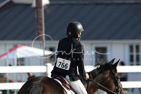 HSM_1332