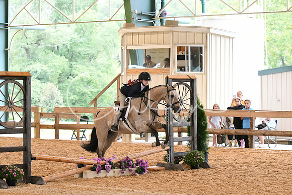 HSM_6196
